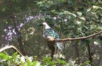 香港公園