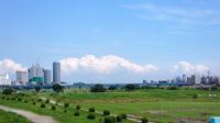 多摩川の土手
