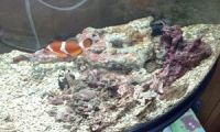 2ヶ月サボってました．．．